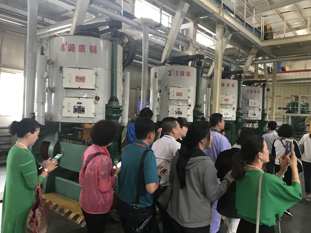 Palm kernel oil press